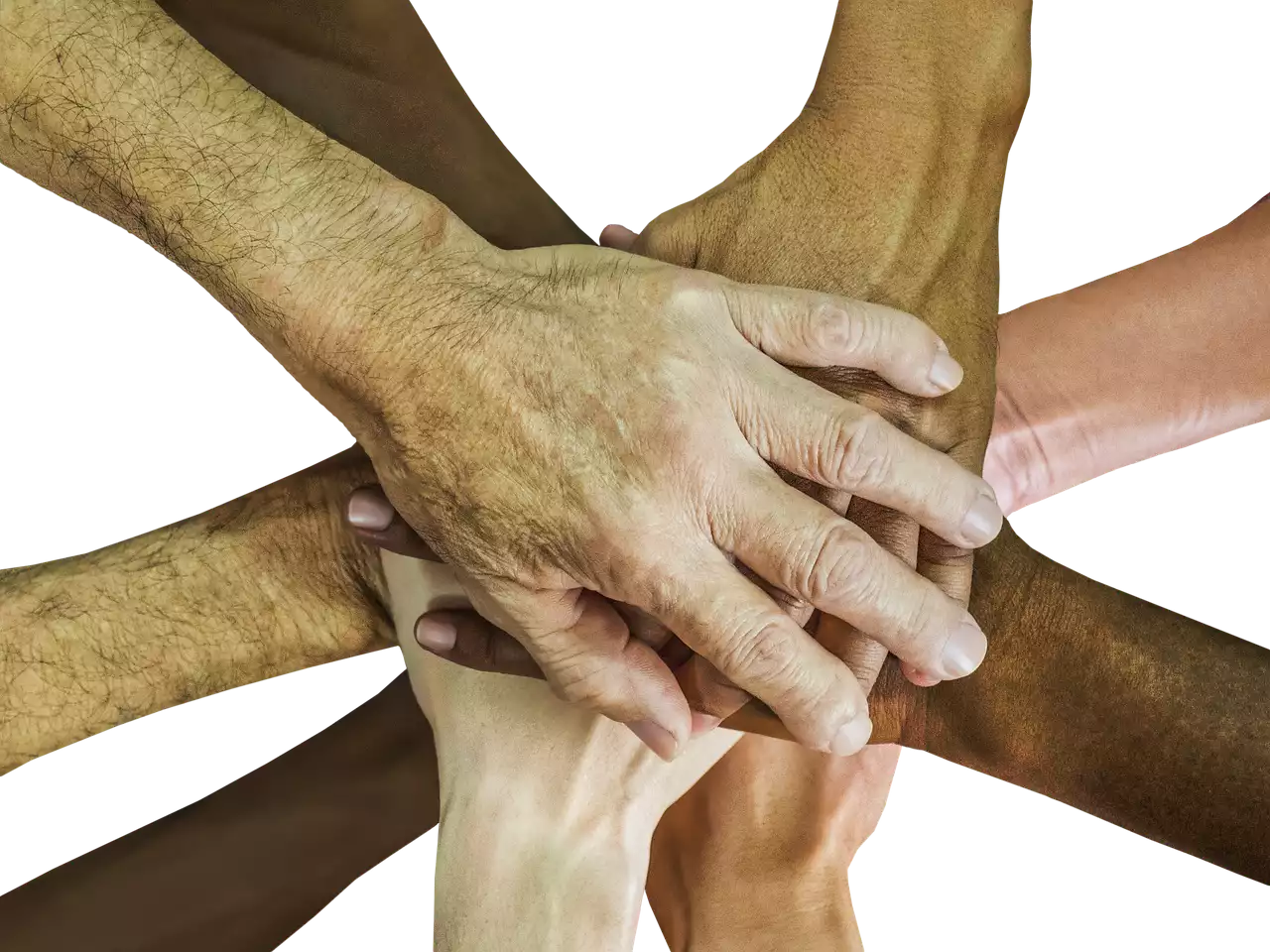 How to Establish Successful Influencer Partnerships