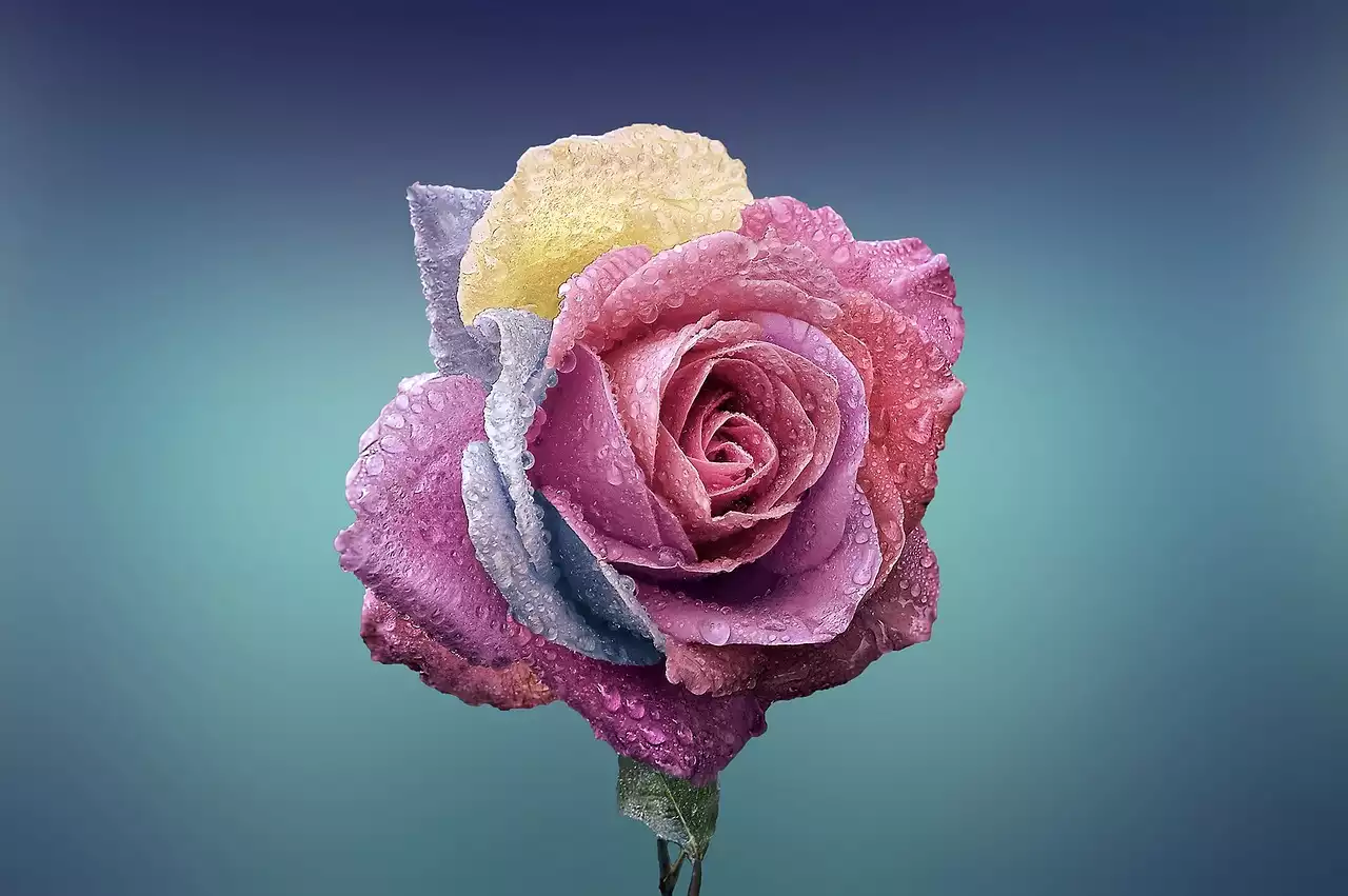 Top 5 Love Languages: How to Express Your Love on Valentine's Day