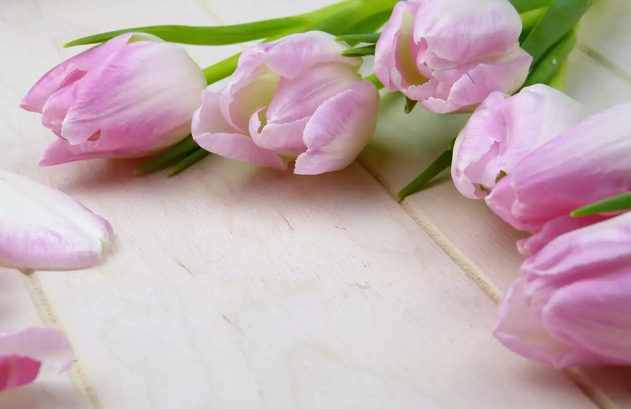 Navigating Valentine's Day as a New Couple