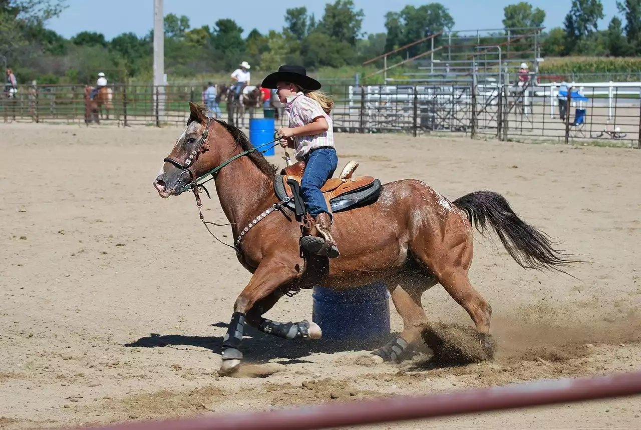 Top 10 Tips for Maintaining Your Rodeo Gear