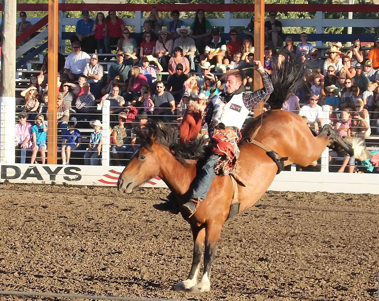 The Role of Rodeo Associations in Preserving Tradition