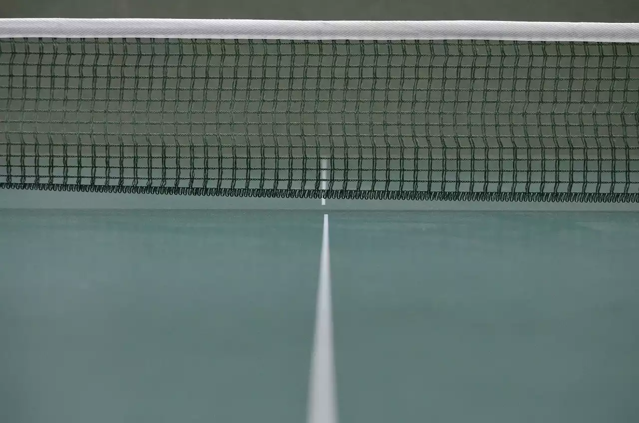 Cómo elegir la mesa de ping-pong adecuada para usted